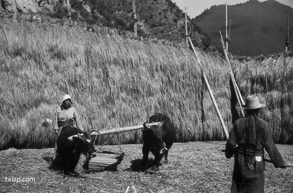 1940年甘肃临潭老照片 洮河边上临潭城乡风貌预览图2