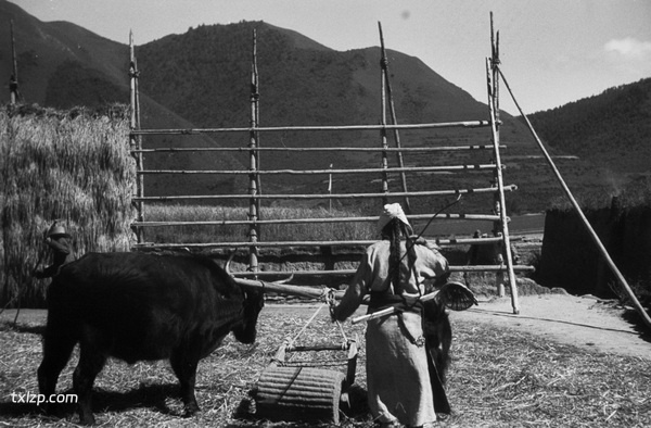 1940年甘肃临潭老照片 洮河边上临潭城乡风貌预览图4