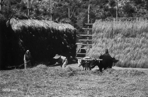 1940年甘肃临潭老照片 洮河边上临潭城乡风貌预览图5