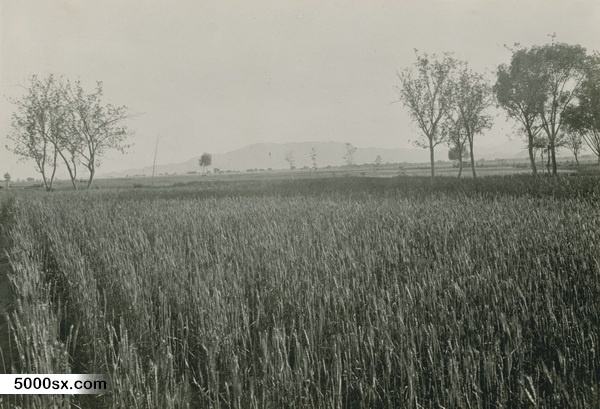 1909年张伯林中国行 5月15日-16日石家庄照片预览图3