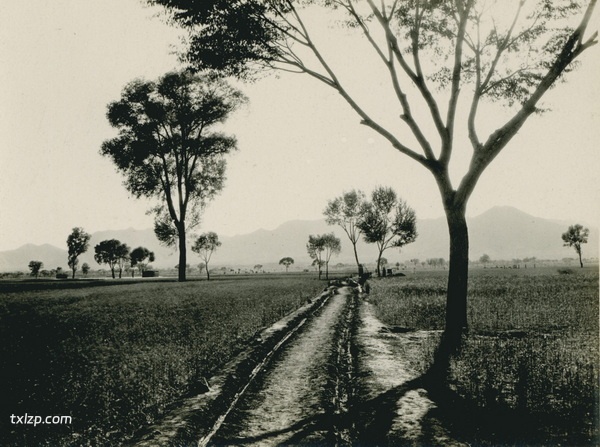 1909年张伯林中国行 5月15日-16日石家庄照片预览图4