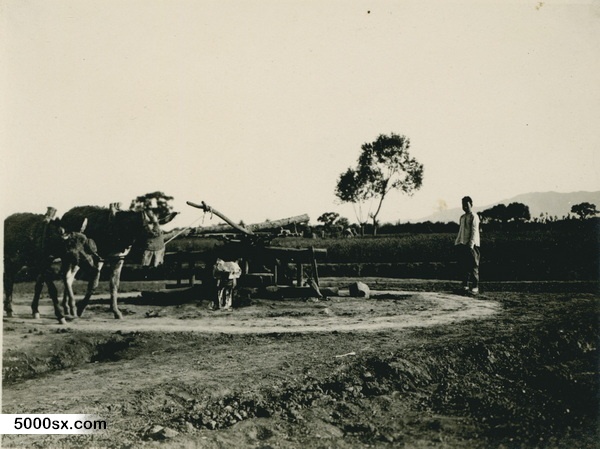 1909年张伯林中国行 5月15日-16日石家庄照片预览图5