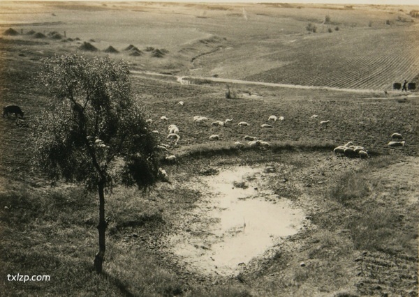 1929年山海关老照片 百年前山海关内外真实风貌预览图7