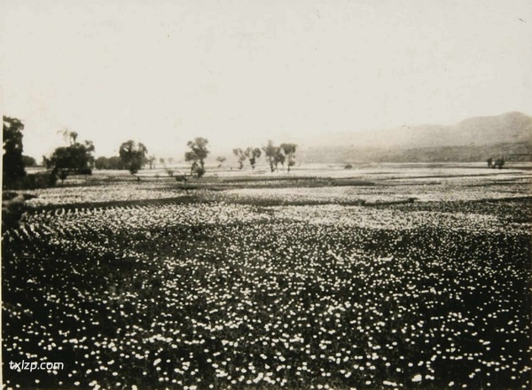 1933年兰州老照片 民国兰州城市内外历史风貌预览图2