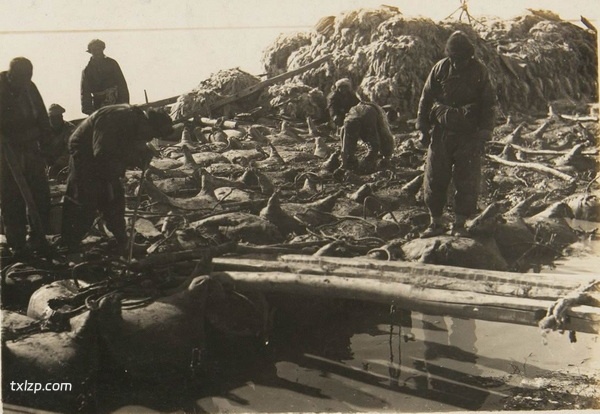 1930年内蒙古包头老照片 包头镇及五当召预览图2