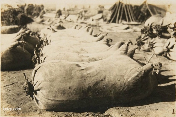 1930年内蒙古包头老照片 包头镇及五当召预览图3