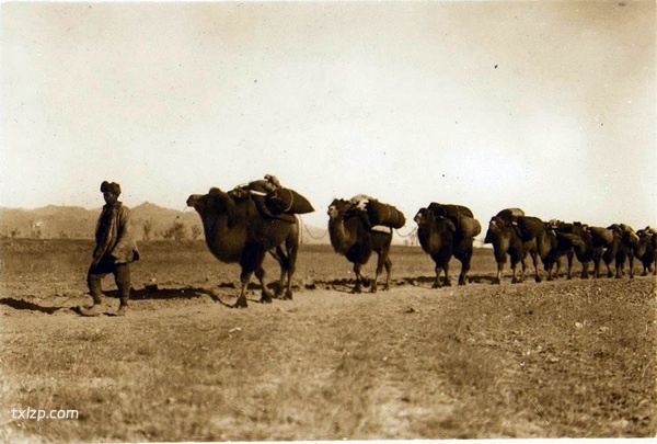 1930年内蒙古包头老照片 包头镇及五当召预览图6