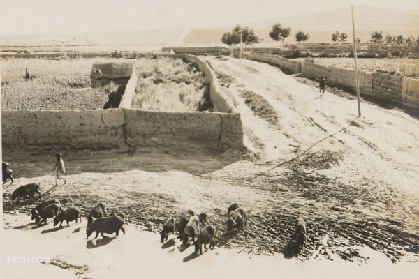 1932年内蒙古赤峰老照片 90余年前的林西县风貌预览图2