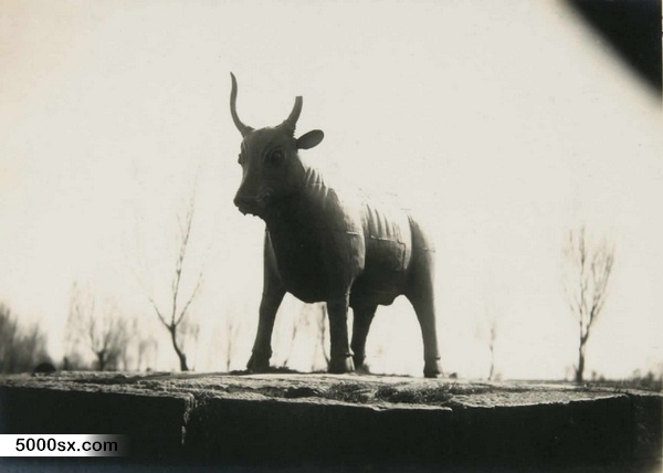 1937年大同老照片  民国时期大同街景|华严寺预览图10