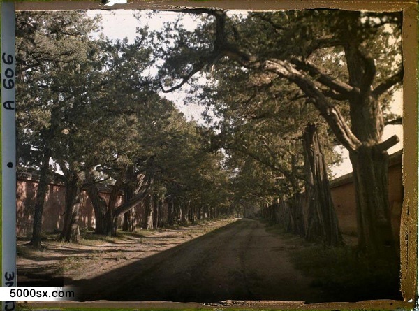 1912年曲阜老照片 孔子故里百年前彩色影像（上）预览图1