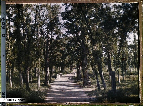 1912年曲阜老照片 孔子故里百年前彩色影像（上）预览图2