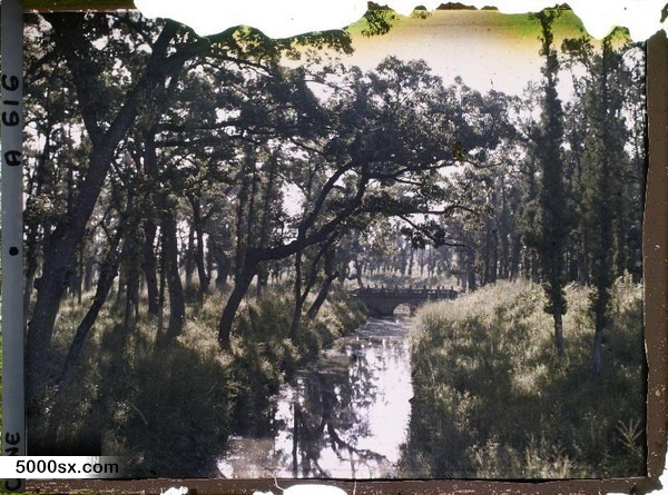 1912年曲阜老照片 孔子故里百年前彩色影像（上）预览图11