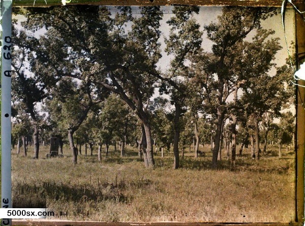 1912年曲阜老照片 孔子故里百年前彩色影像（上）预览图14