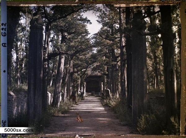 1912年曲阜老照片 孔子故里百年前彩色影像（上）预览图16