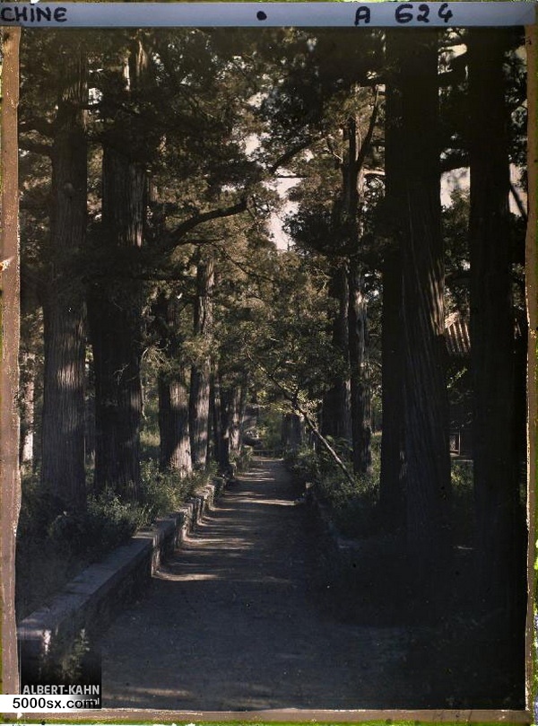 1912年曲阜老照片 孔子故里百年前彩色影像（上）预览图18