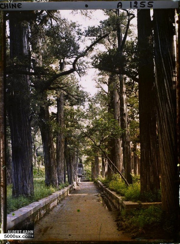 1912年曲阜老照片 孔子故里百年前彩色影像（上）预览图37