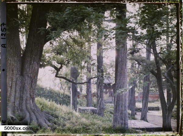 1912年曲阜老照片 孔子故里百年前彩色影像（上）预览图39