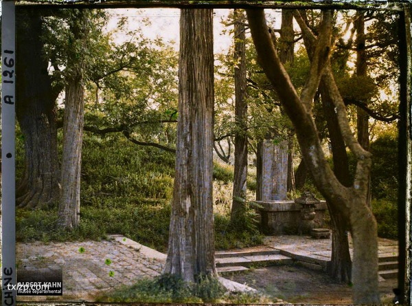 1912年曲阜老照片 孔子故里百年前彩色影像（下）预览图3