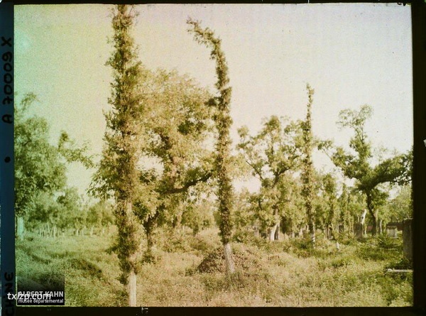 1912年曲阜老照片 孔子故里百年前彩色影像（下）预览图36