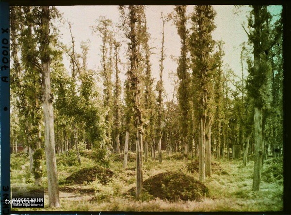 1912年曲阜老照片 孔子故里百年前彩色影像（下）预览图37