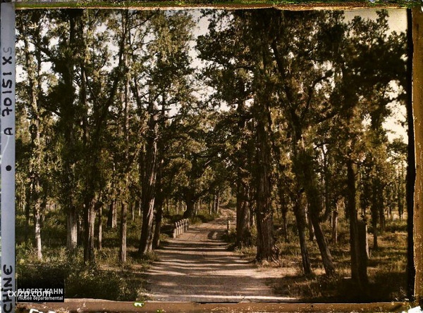 1912年曲阜老照片 孔子故里百年前彩色影像（下）预览图40