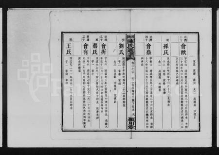 湖南陈氏族谱-湘陕陈氏通谱.pdf电子版预览图3