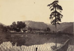 1876年宁波老照片 晚清江南水乡宁波风貌（中）缩略图