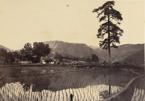 1876年宁波老照片 晚清江南水乡宁波风貌（中）