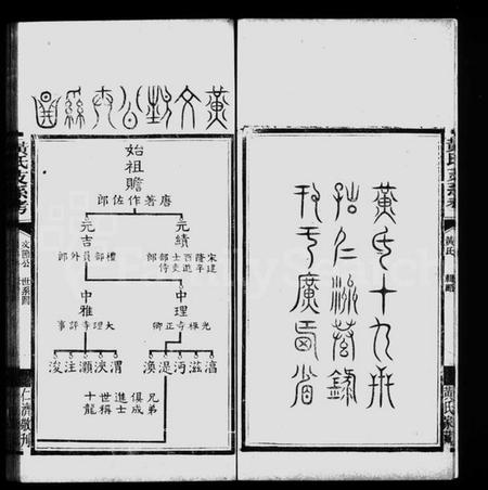 湖南黄氏族谱-善化黄氏支系考谱 _ [附黄氏题录].pdf电子版预览图2