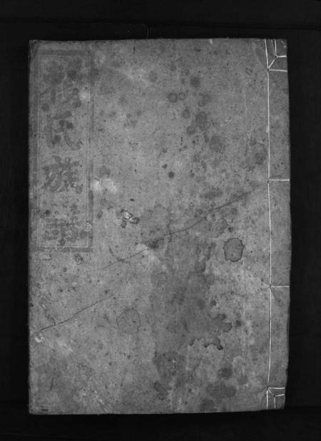 湖南赖氏族谱-赖(頼)氏族谱 [4卷].pdf电子版预览图