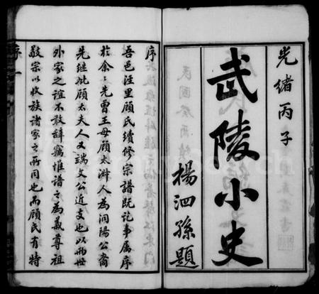 江苏顾氏族谱-顾氏分编支谱 ： [8卷](别名：顾氏宗谱).pdf电子版预览图2