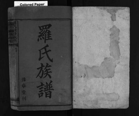 湖南罗氏族谱-豫章(罗氏)家乘 [8卷,含首3卷].pdf电子版预览图1