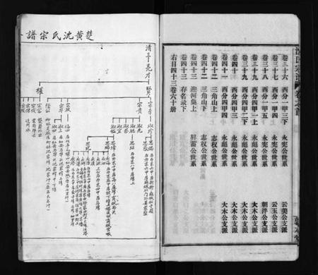 湖南沈氏族谱-沈氏宗谱 [43卷,首1卷].pdf电子版预览图5