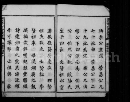 湖南沈氏族谱-沈氏族谱.pdf电子版预览图4