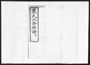 湖南粟氏族谱-粟氏六修族谱 [32卷,首1卷].pdf电子版缩略图