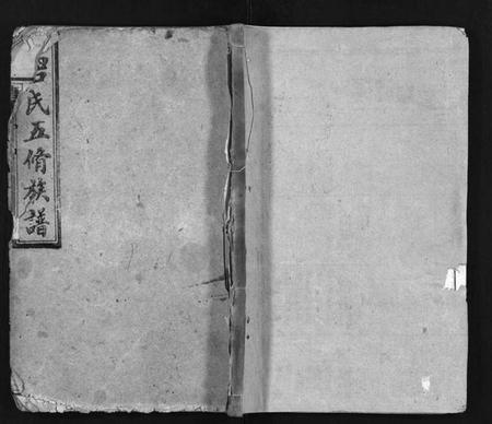 湖南唐氏族谱-唐氏五修族谱 [24卷].pdf电子版