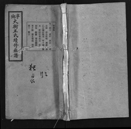 湖南王氏族谱-宁乡大冲王氏续修族谱 [33卷].pdf电子版