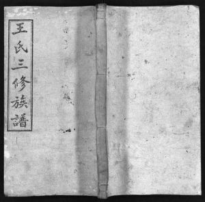 湖南王氏族谱-邵湘王氏三修族谱 [10卷,首上下].pdf电子版缩略图