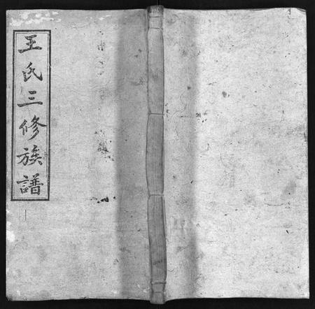 湖南王氏族谱-邵湘王氏三修族谱 [10卷,首上下].pdf电子版