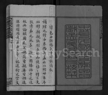 湖南杨氏族谱-西冲杨氏五修族谱 [14卷,含首1卷].pdf电子版预览图1