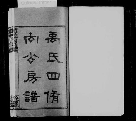 湖南禹氏族谱-禹氏四修向公房谱 [14卷,首3卷,末1卷].pdf电子版预览图1