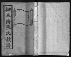 湖南张氏族谱-枏木冲张氏族谱 [24卷,首1卷].pdf电子版缩略图