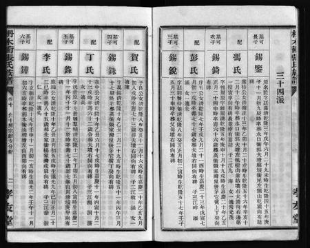 湖南张氏族谱-枏木冲张氏族谱 [24卷,首1卷].pdf电子版预览图2