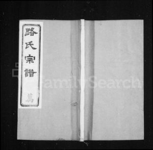 江苏路氏族谱-路氏六修宗谱 ： [16册](别名：路氏宗谱).pdf电子版缩略图