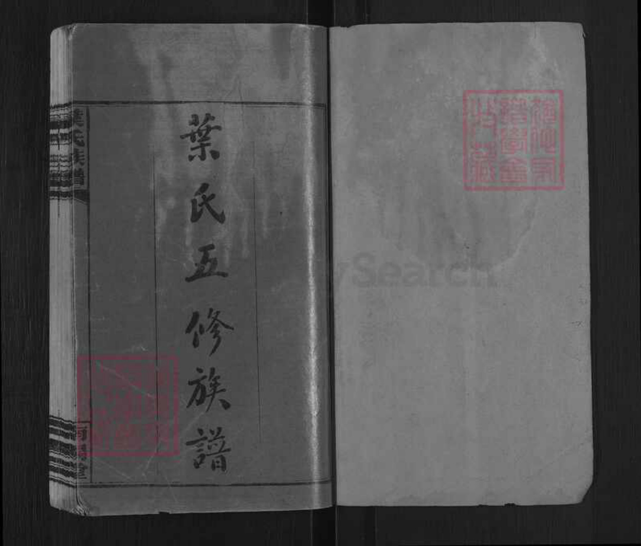 湖南省岳阳市平江县南江镇叶氏南阳堂族谱-叶氏五修族谱.pdf电子版预览图1