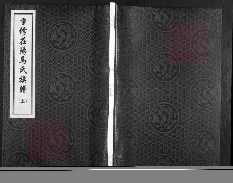 山东省聊城市茌平区马氏族谱-重修茌阳马氏族谱.pdf电子版