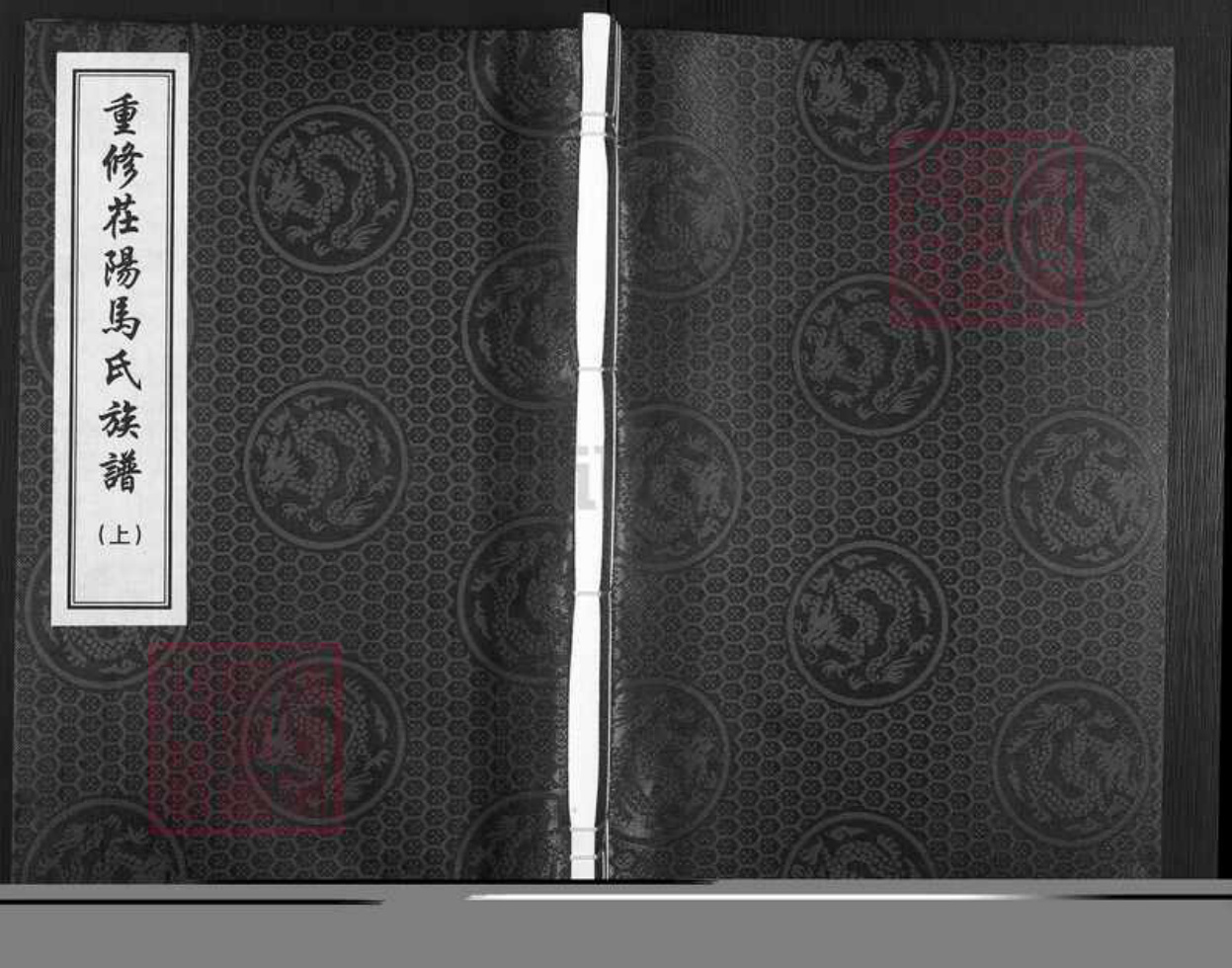 山东省聊城市茌平区马氏族谱-重修茌阳马氏族谱.pdf电子版预览图