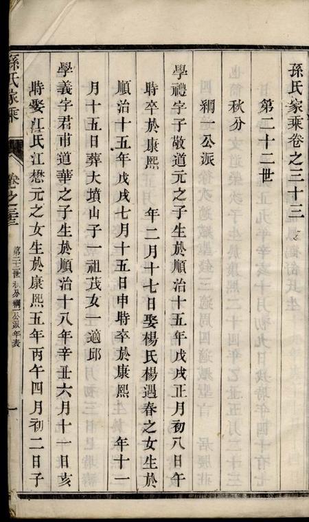 孙氏家乘.pdf电子版下载预览图