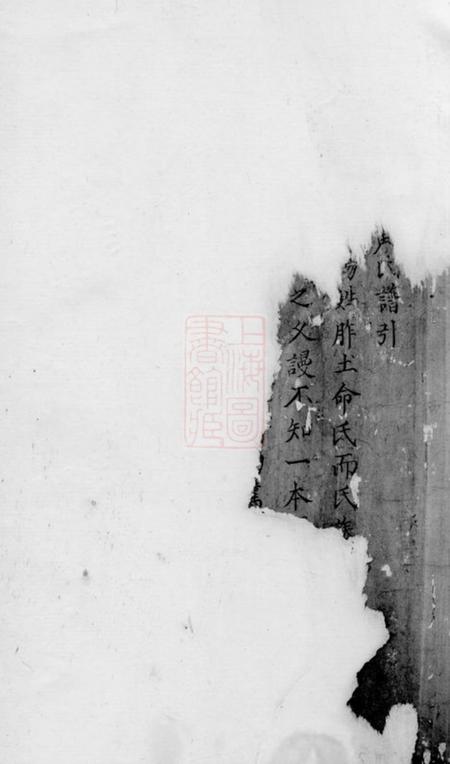 东阳东岑黄氏家谱四卷.pdf电子版下载预览图1