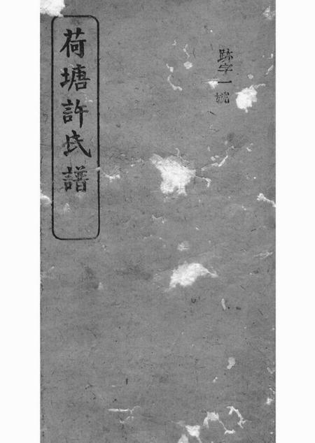 巴陵高阳堂荷塘许氏谱.pdf电子版下载
